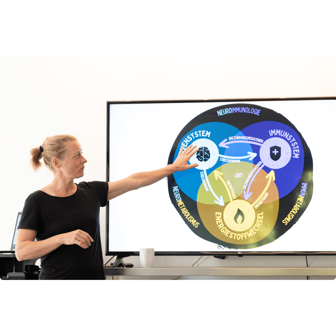 MOJO Analyse